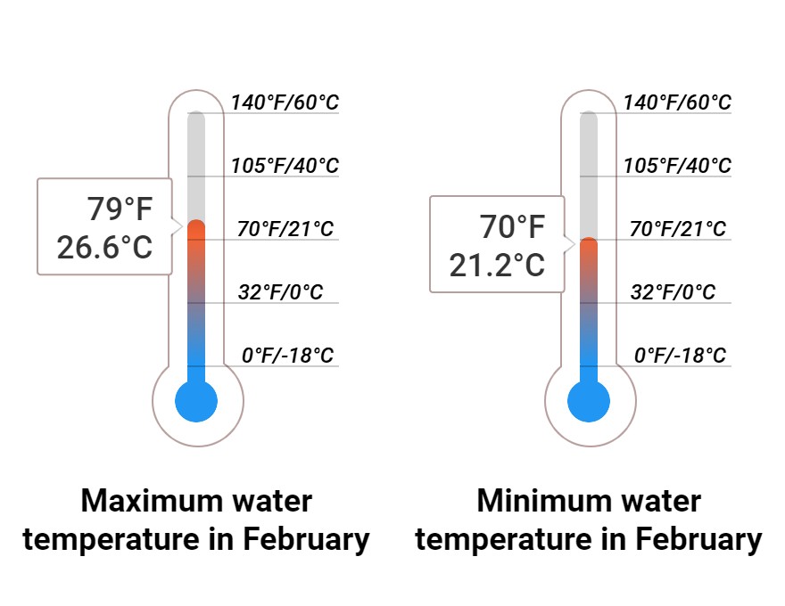 Average Sea temperature